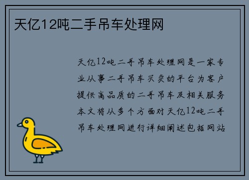 天亿12吨二手吊车处理网