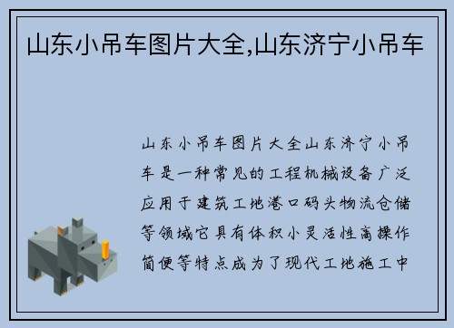 山东小吊车图片大全,山东济宁小吊车
