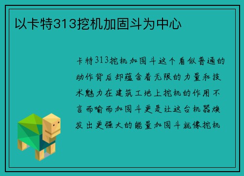 以卡特313挖机加固斗为中心