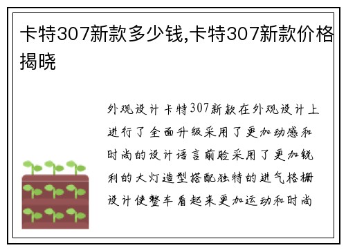 卡特307新款多少钱,卡特307新款价格揭晓