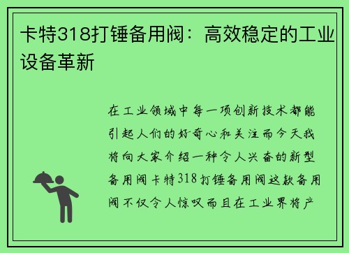 卡特318打锤备用阀：高效稳定的工业设备革新