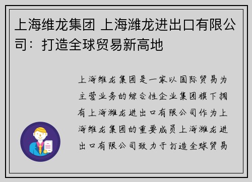 上海维龙集团 上海潍龙进出口有限公司：打造全球贸易新高地